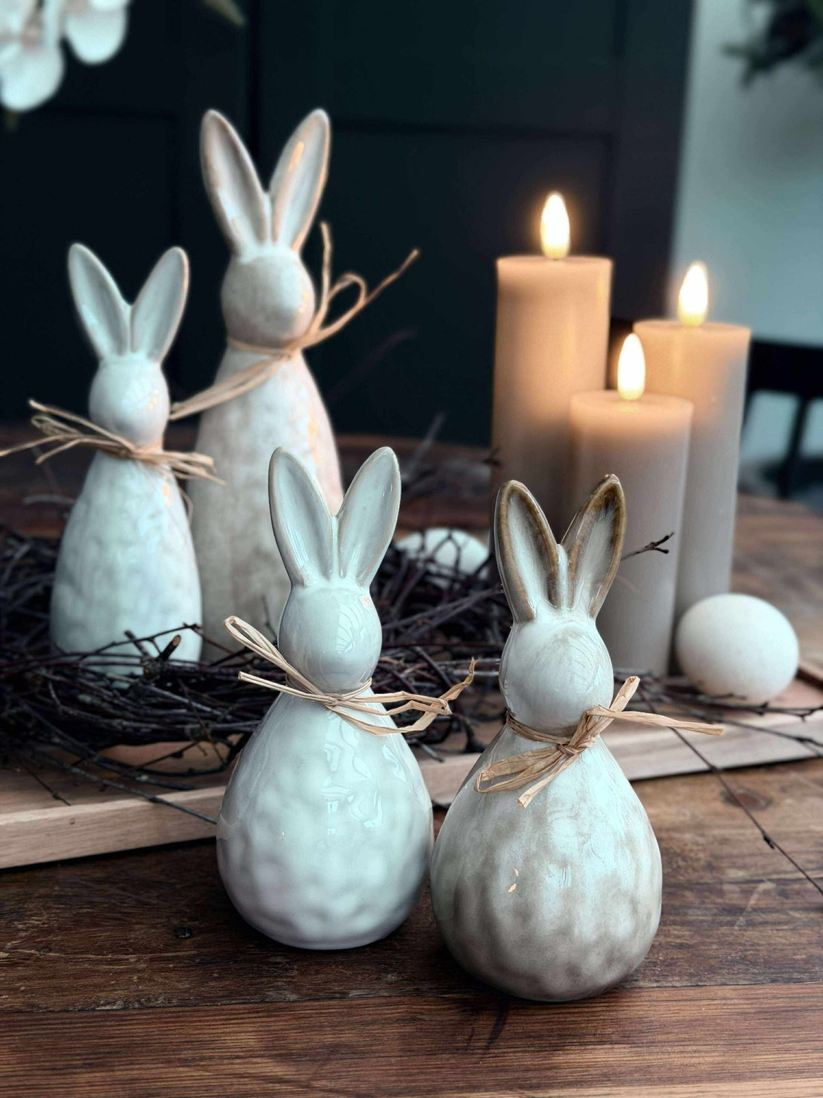 Lapin moyen - Mix