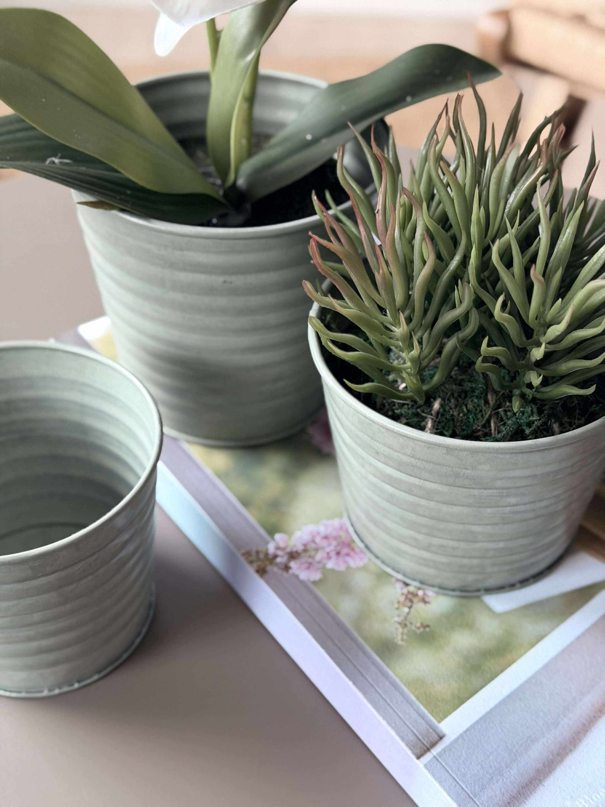 Cache-pot en zinc - Lot de 3