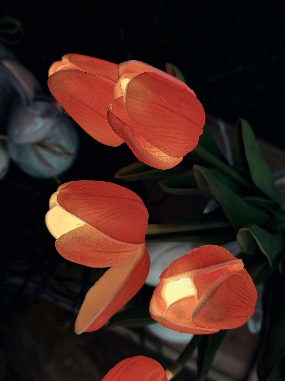 Tulipes lumineuses - Rouge