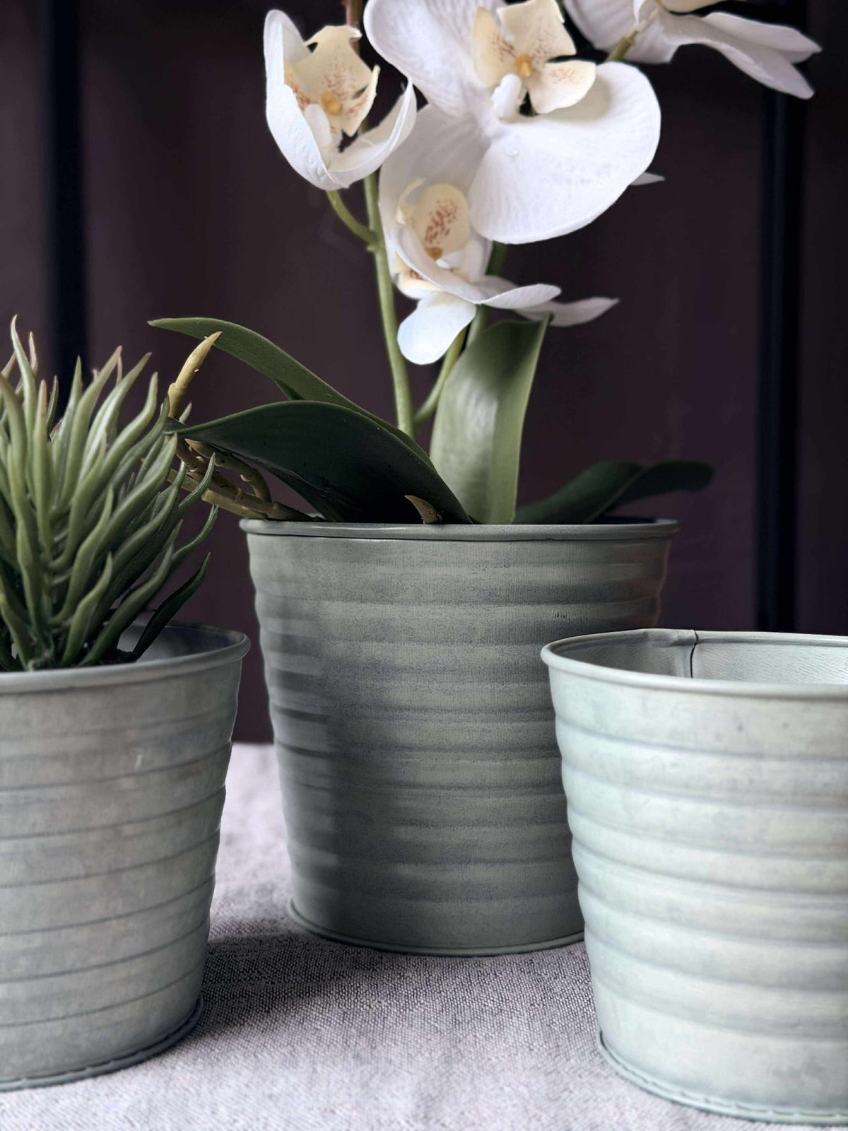 Cache-pot en zinc - Lot de 3