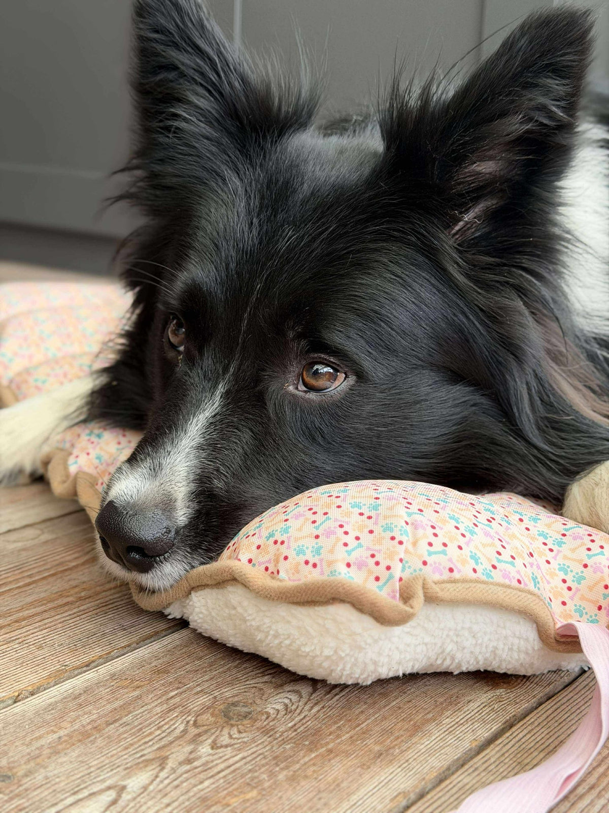 Couverture pour chien - Pliable