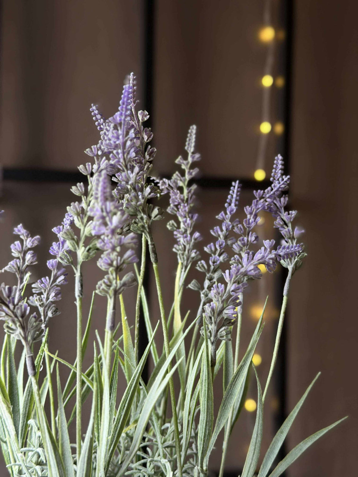 Fleur en pot