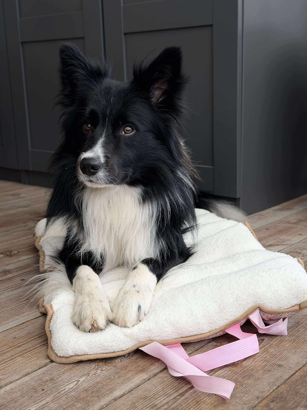 Couverture pour chien - Pliable
