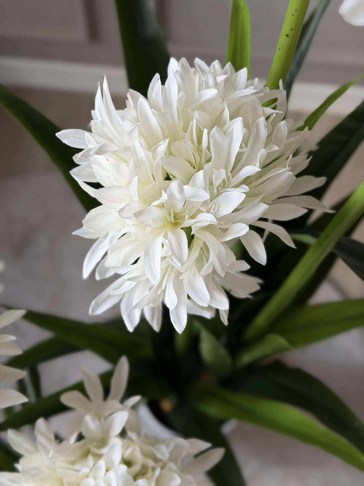Lis ombelle 120 cm - plusieurs couleurs