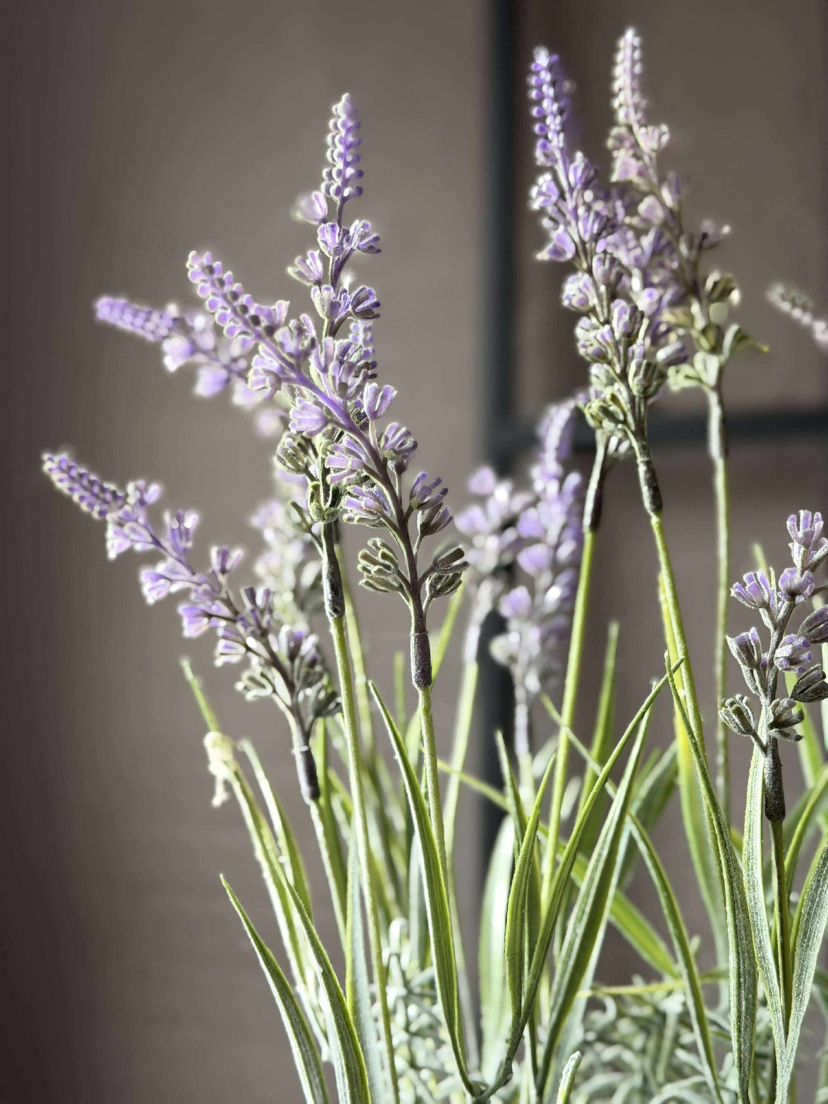 Fleur en pot