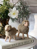 Mouton Kaki - Grand