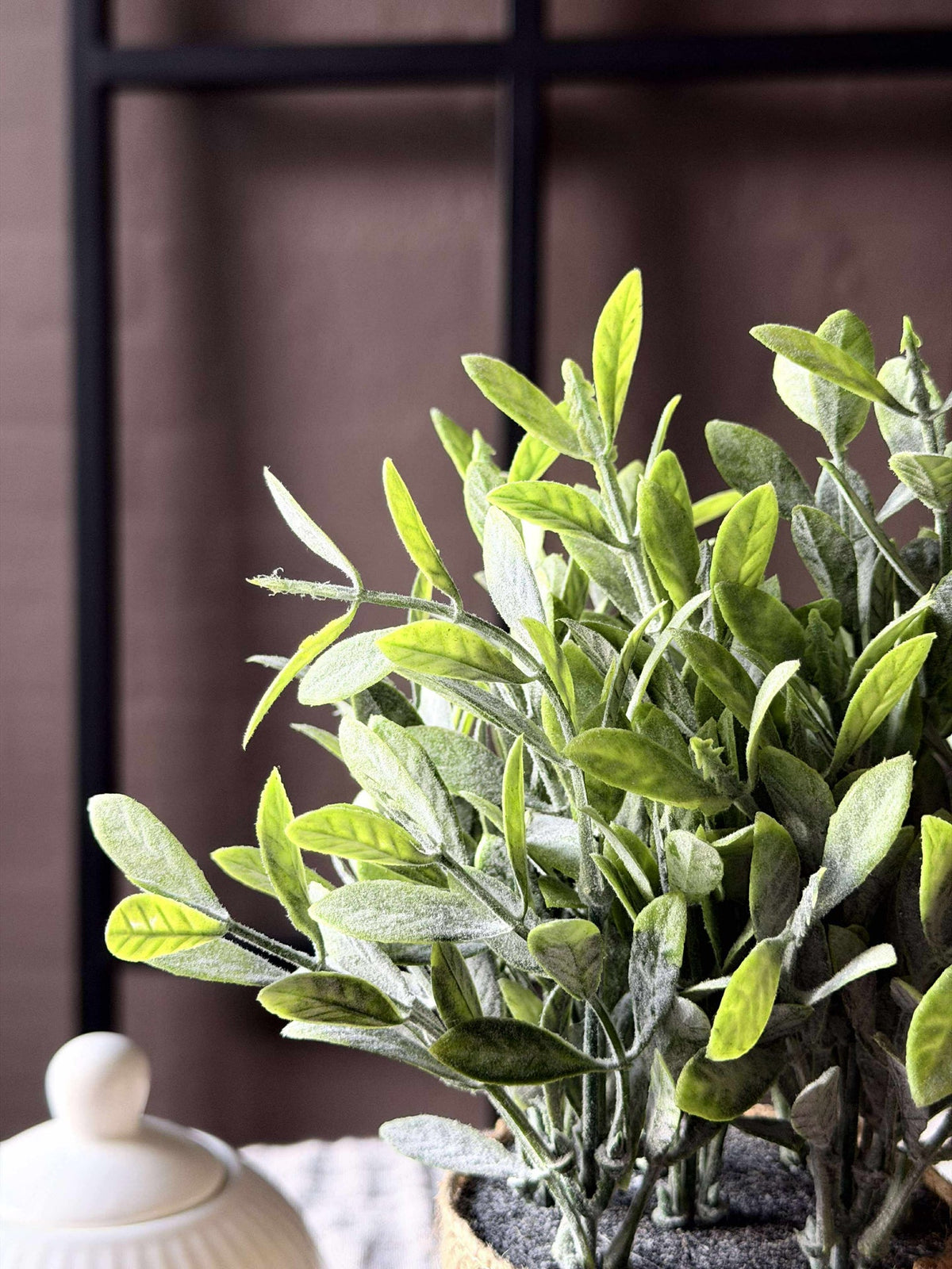 Fleur en pot
