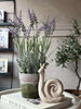 Fleur en pot