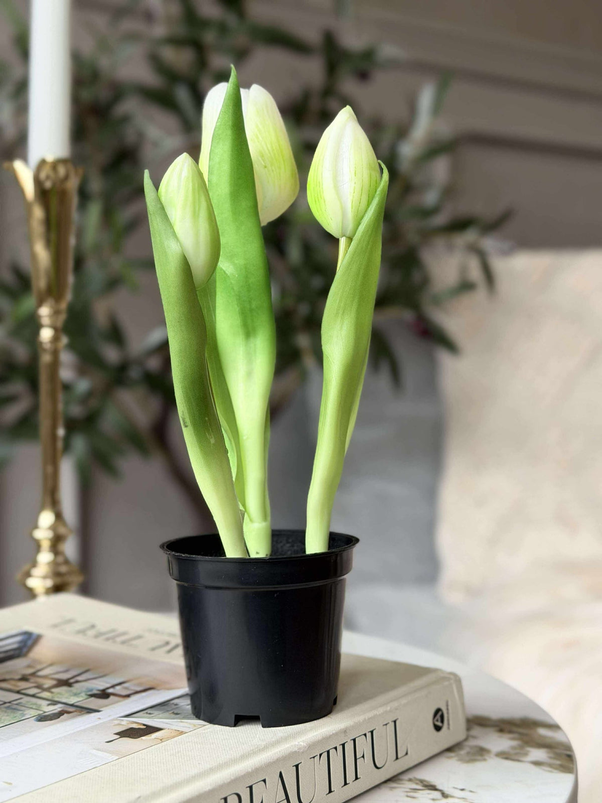 Tulipe en pot - Blanche Avec 3 Fleurs