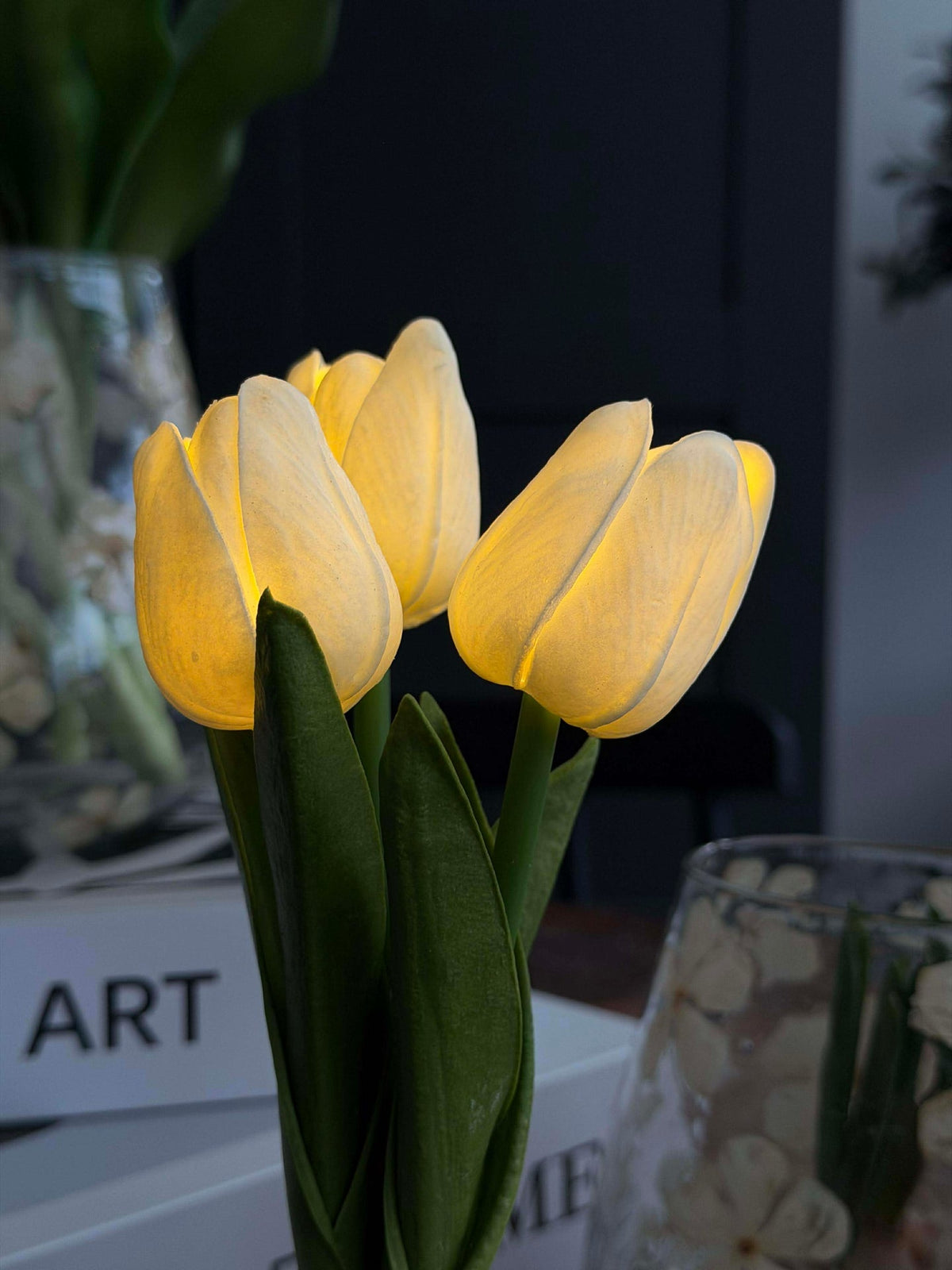 Tulipes avec lumière - Blanc