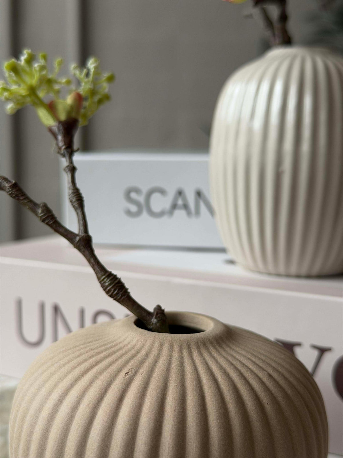 Vases - Set de 3