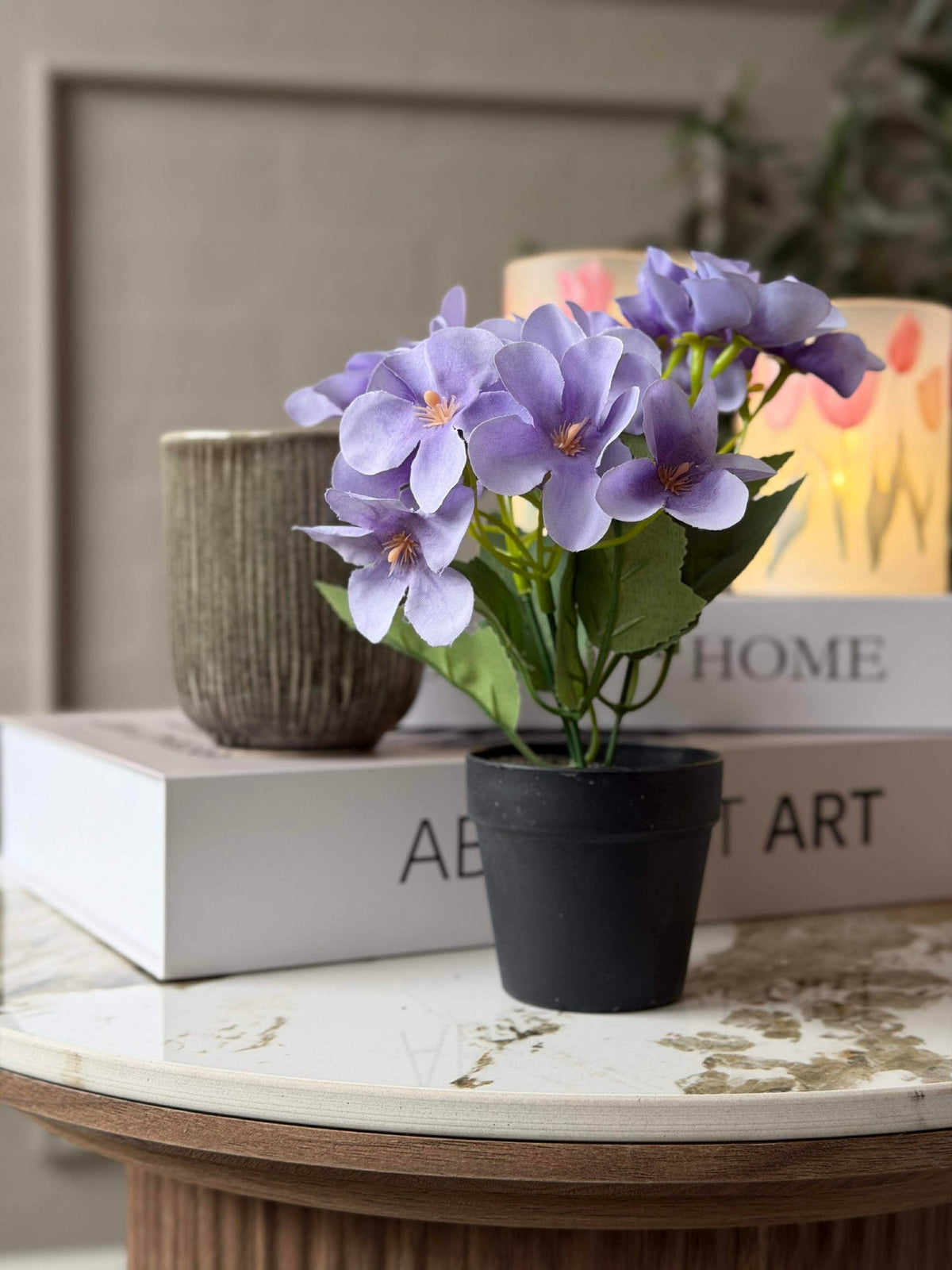 Mini hortensia en pot - plusieurs couleurs