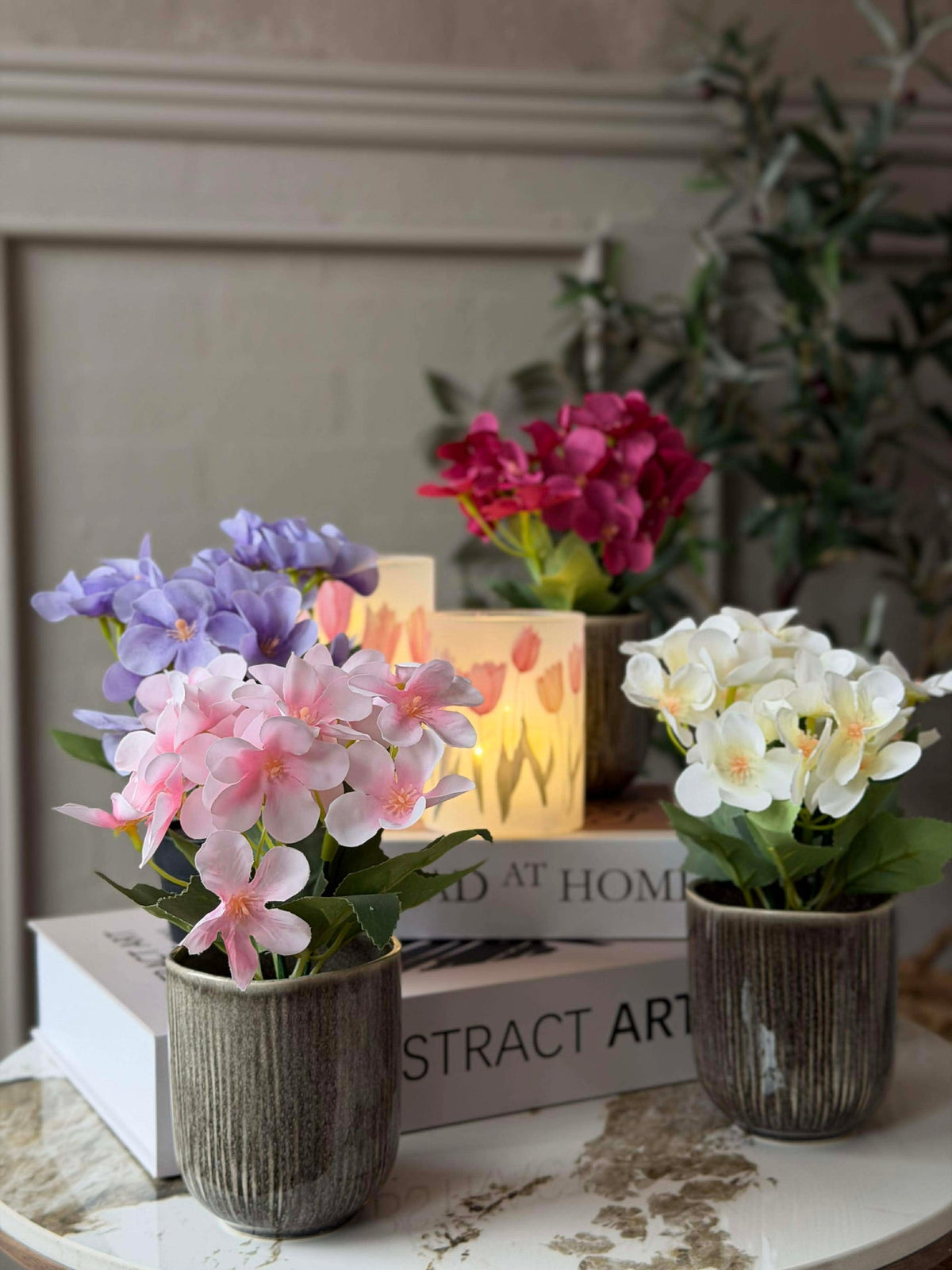 Mini hortensia en pot - plusieurs couleurs