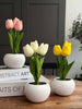 Tulipes avec lumière - Blanc
