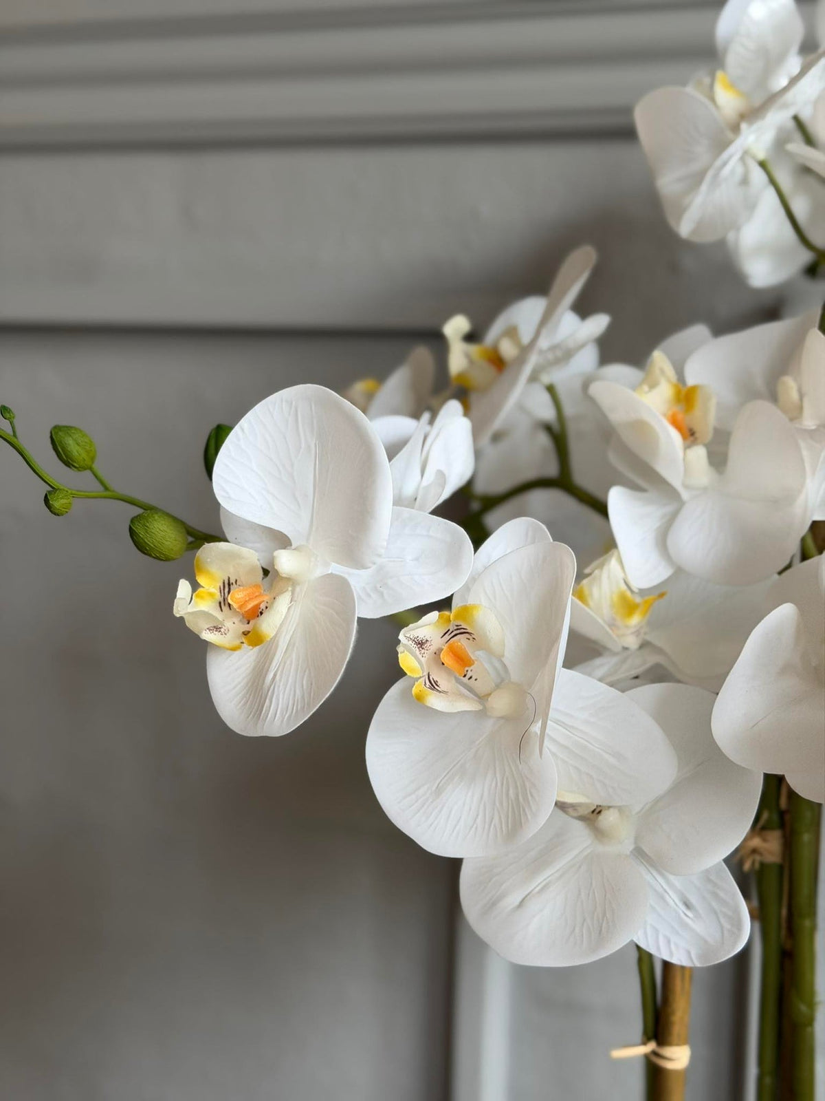 Orchidée en Pot 65 cm - Blanc