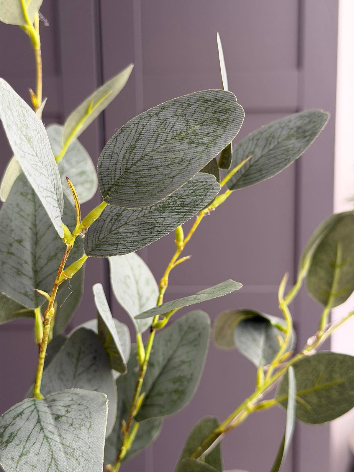 Branche d’eucalyptus avec lumière - 100 cm