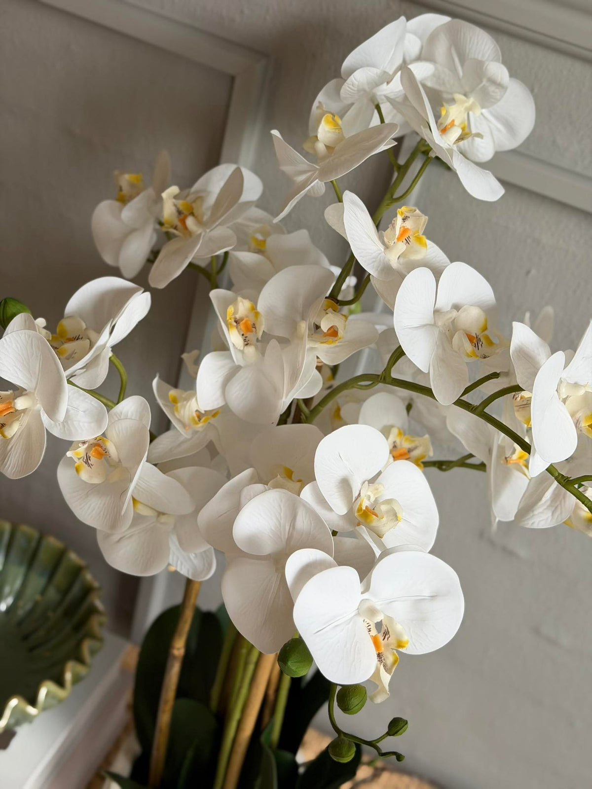 Orchidée en Pot 65 cm - Blanc