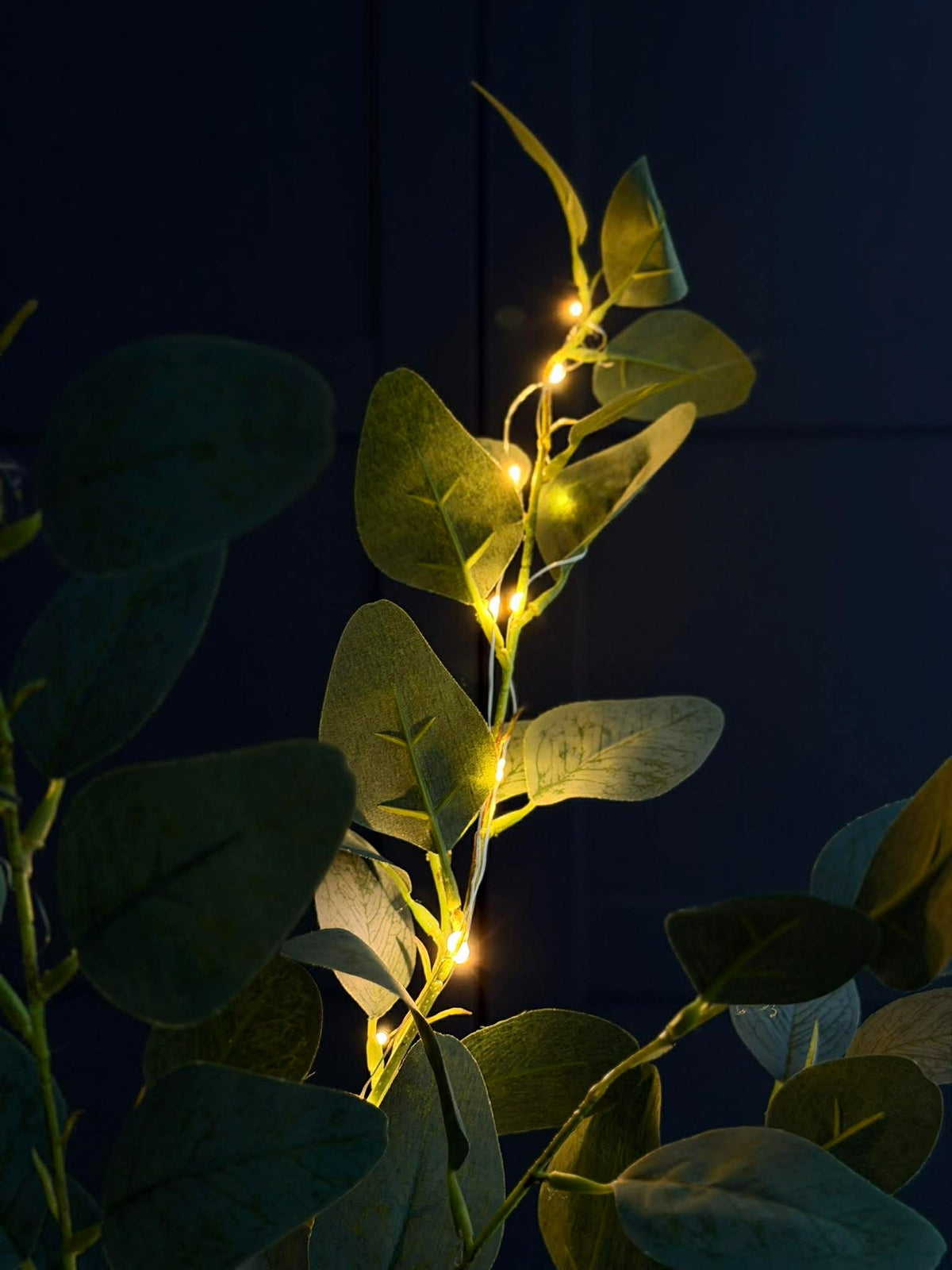 Branche d’eucalyptus avec lumière - 100 cm
