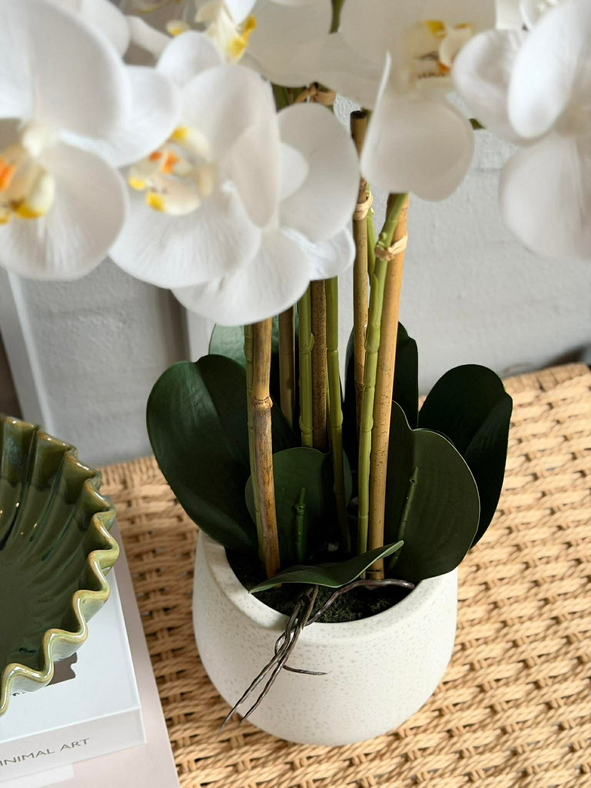 Orchidée en Pot 65 cm - Blanc