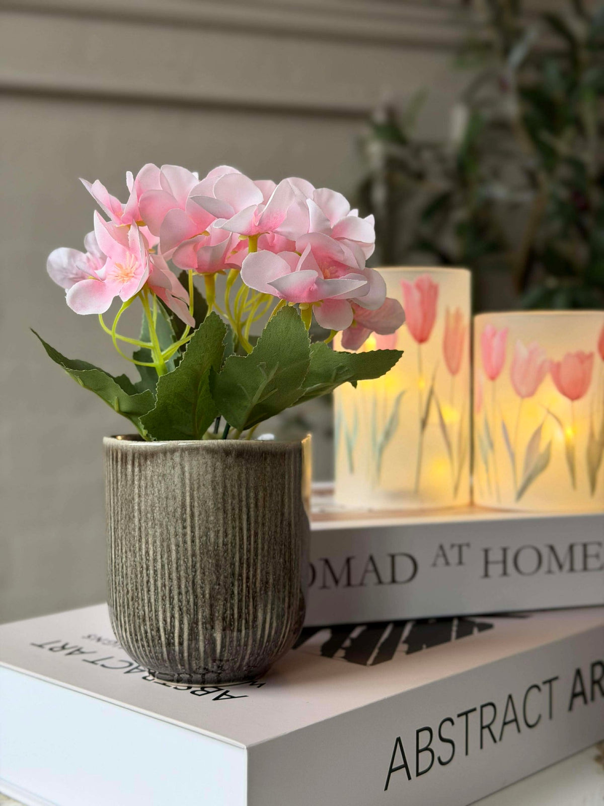 Mini hortensia en pot - plusieurs couleurs