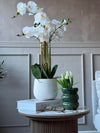 Orchidée en Pot 65 cm - Blanc