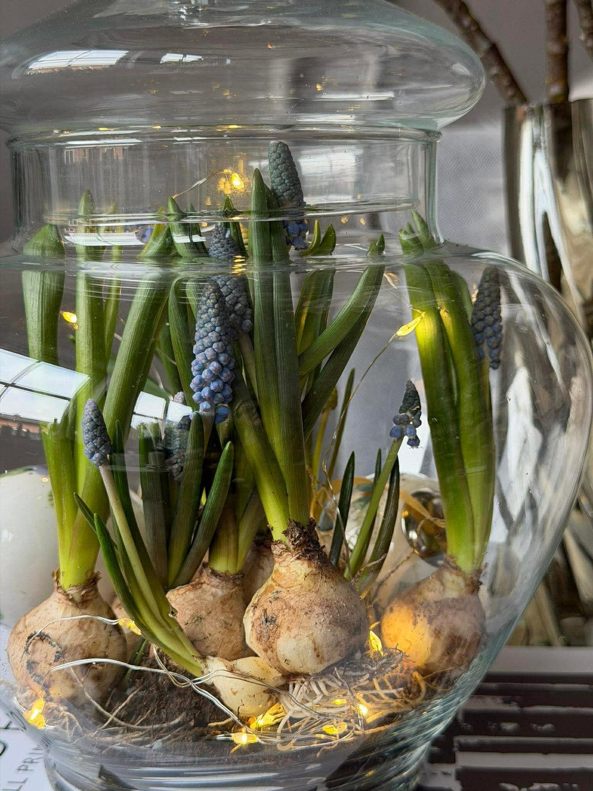 Bocal de rangement avec couvercle