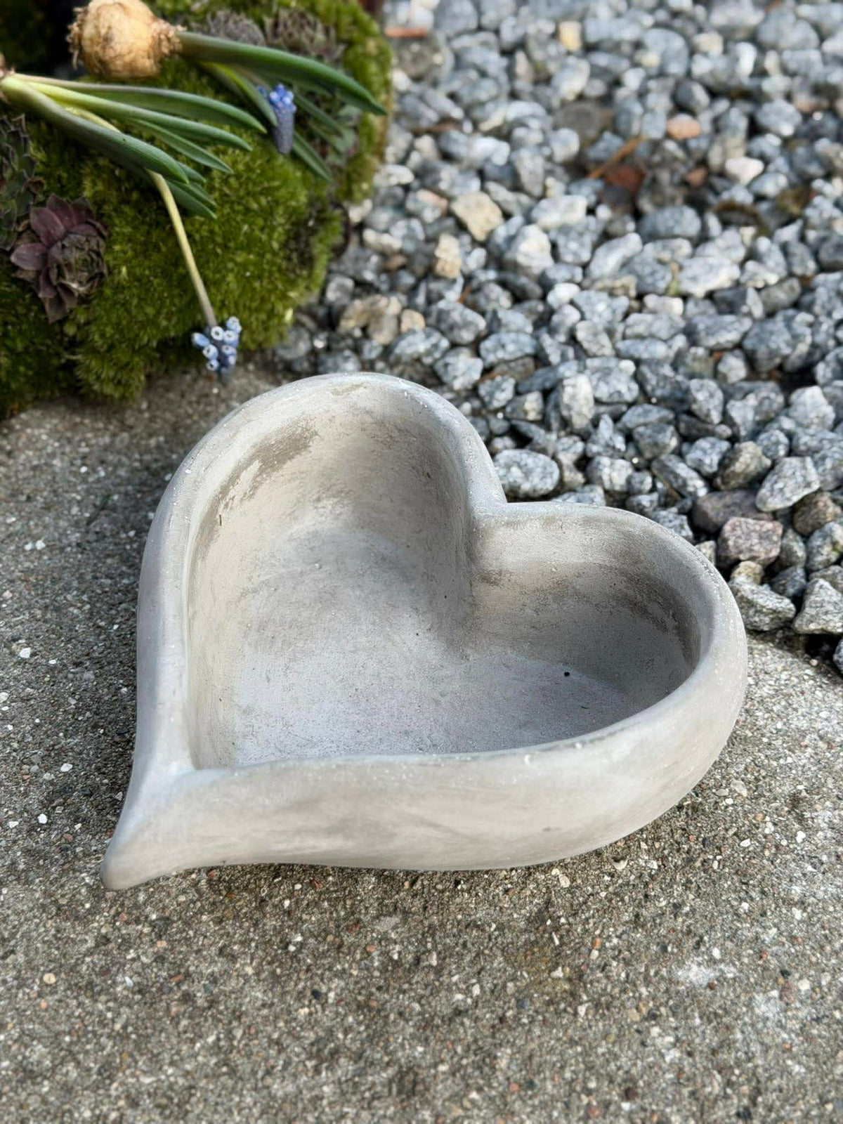 Cœur à planter
