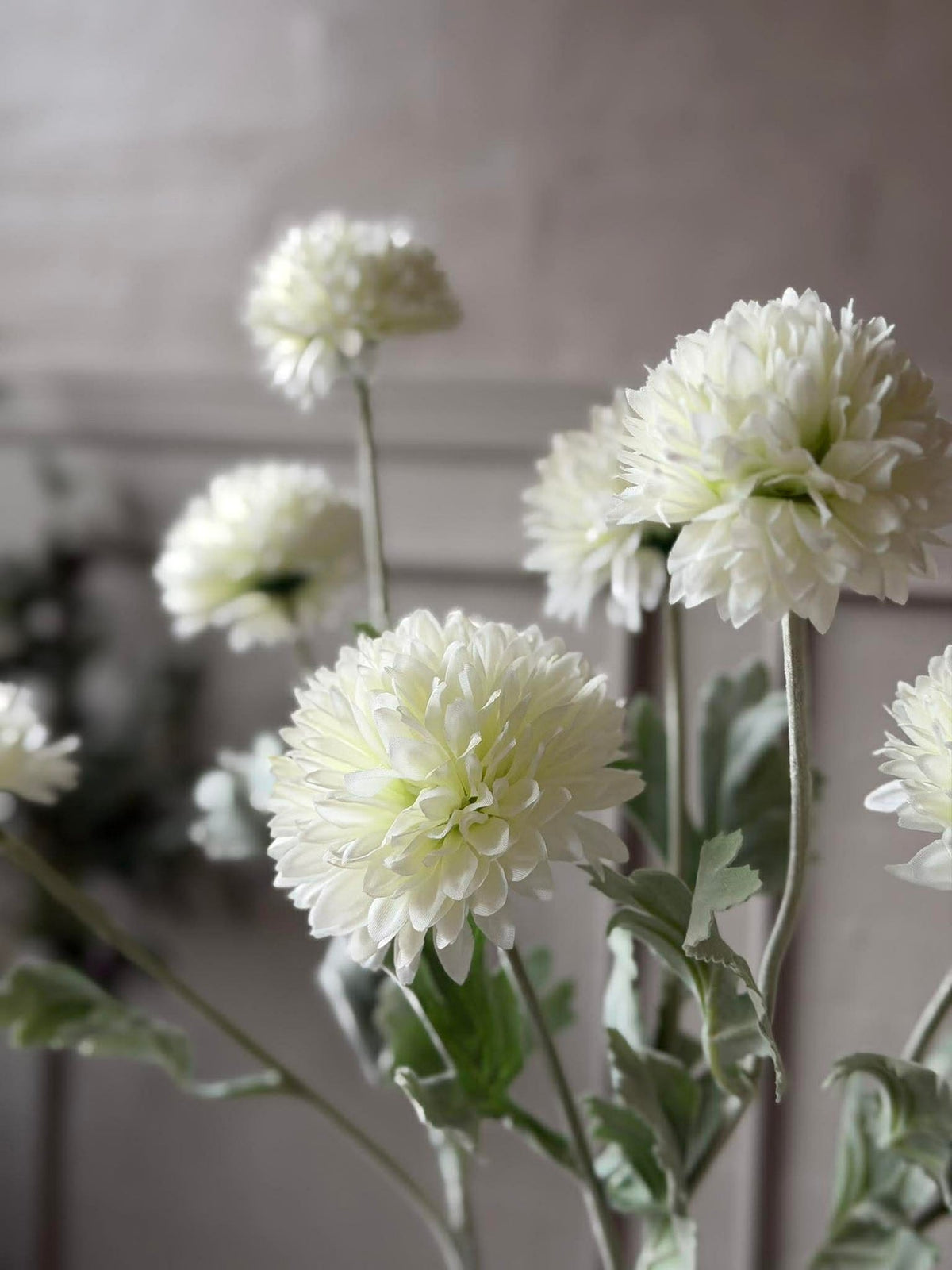 Tige d’allium 60 cm - Blanc
