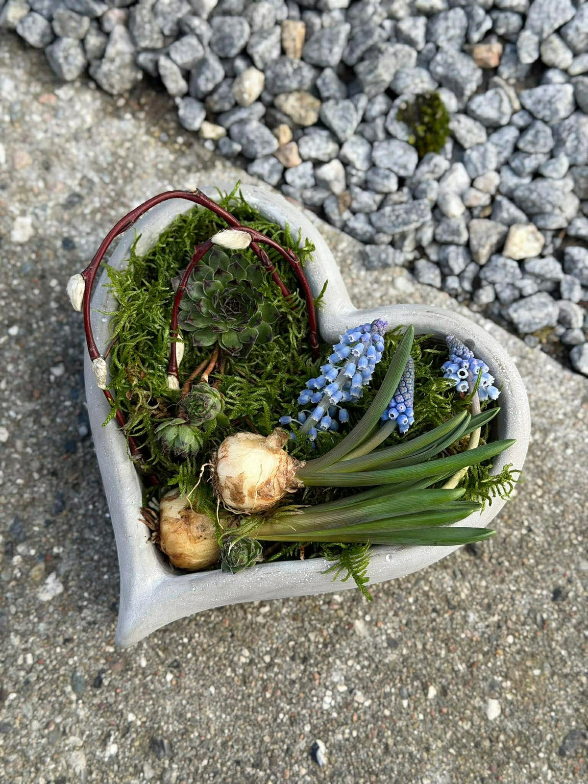 Cœur à planter