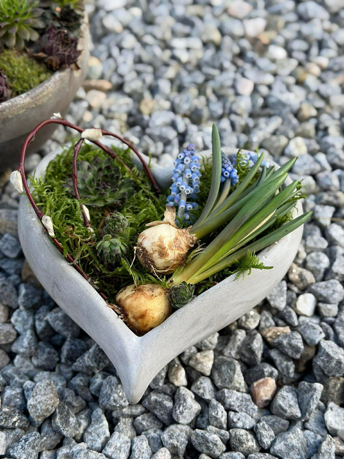 Cœur à planter