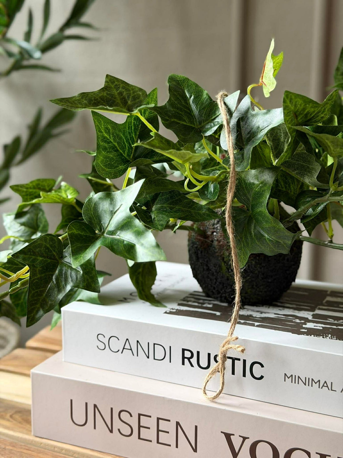 Plante suspendue lierre