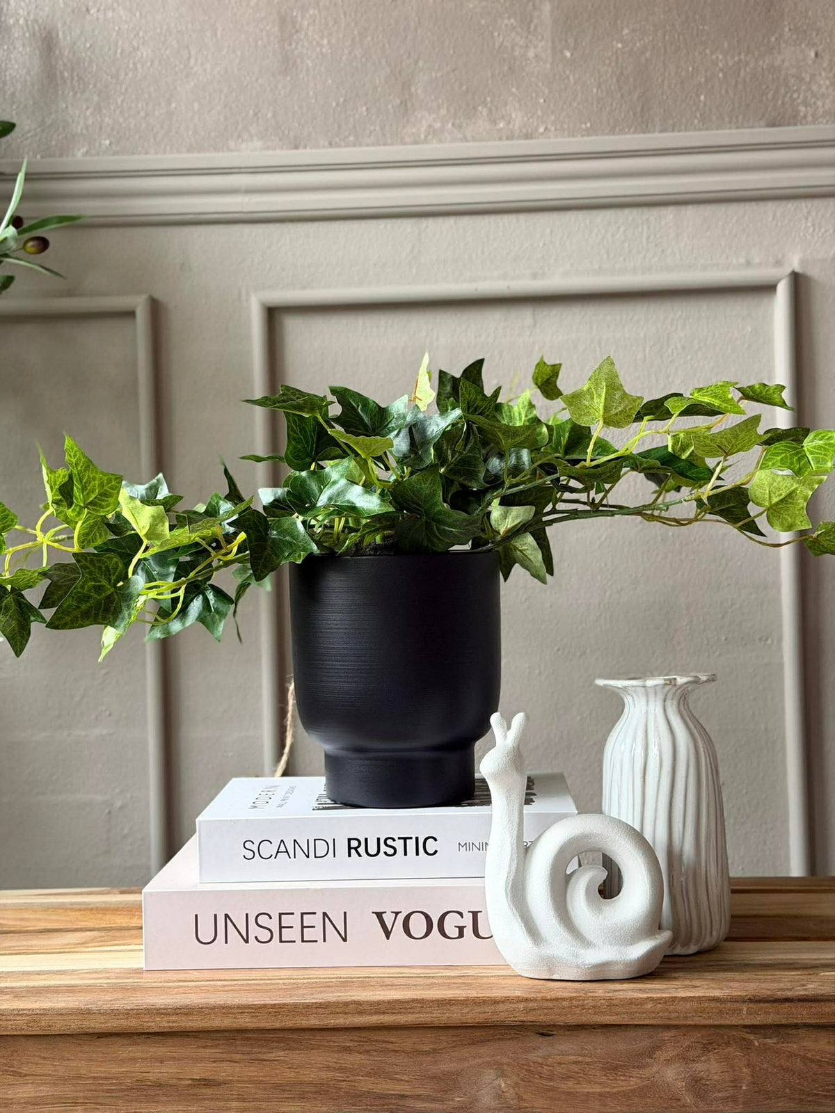 Plante suspendue lierre