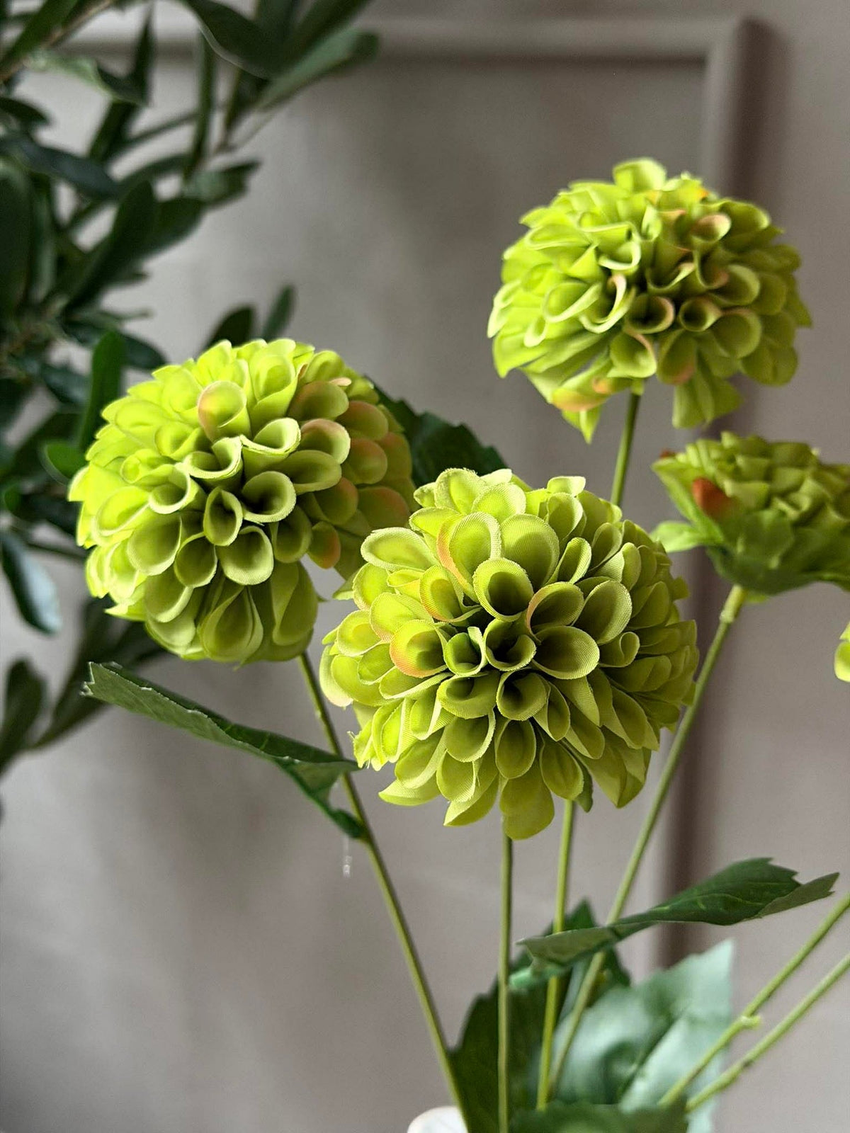Tige de fleur à plusieurs fleurs - Lime