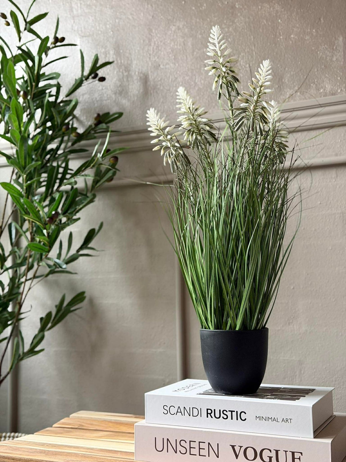 Lupin blanc en pot pour intérieur et extérieur - 60 cm