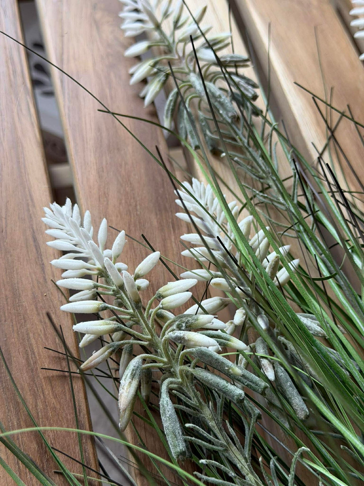 Lupin Blanc en bouquet pour intérieur et extérieur - 70 cm