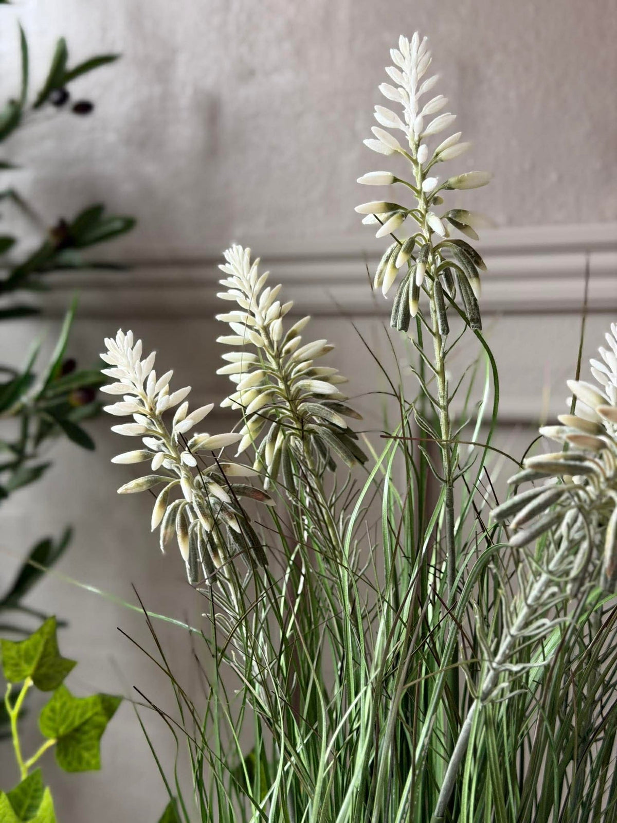Lupin blanc en pot pour intérieur et extérieur - 60 cm