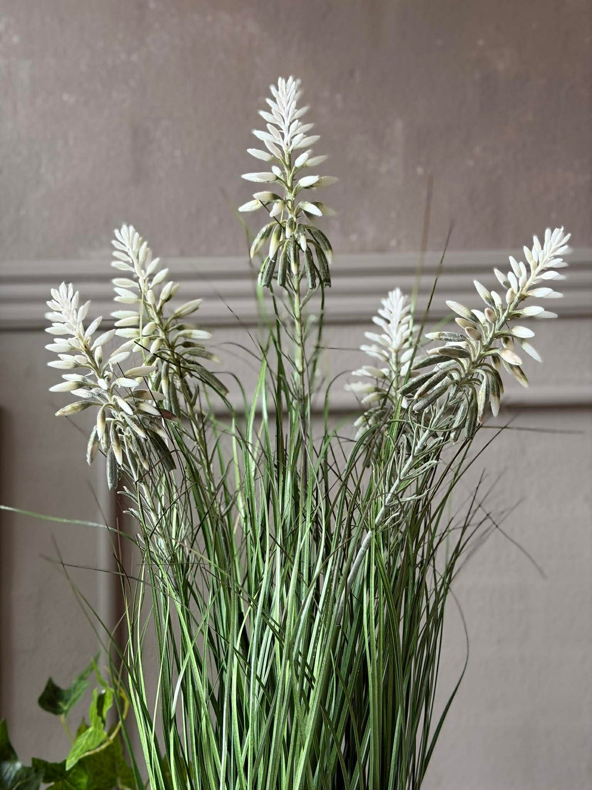Lupin blanc en pot pour intérieur et extérieur - 60 cm