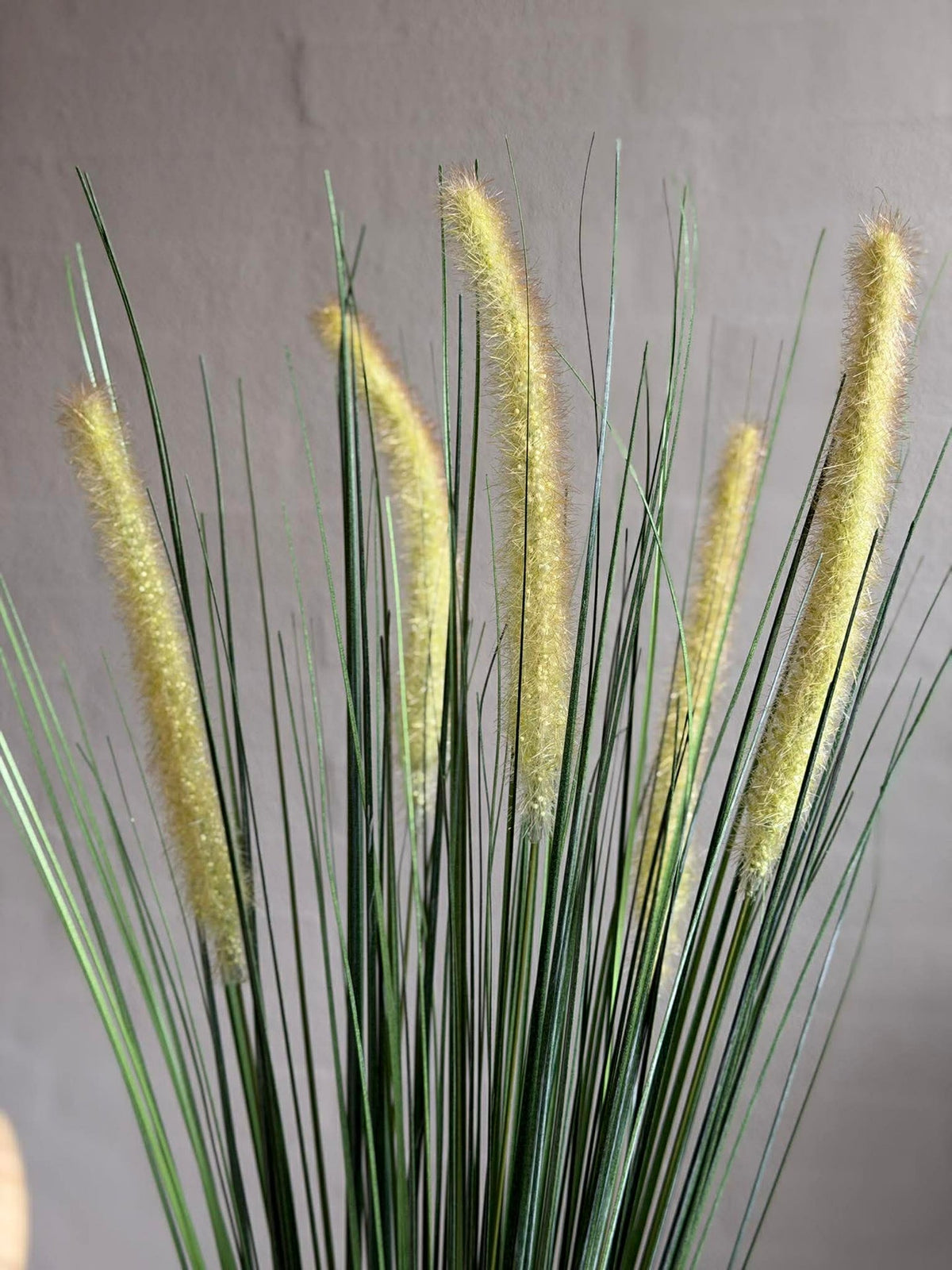 Queue de lièvre en bouquet pour l’intérieur et l’extérieur - 75 cm