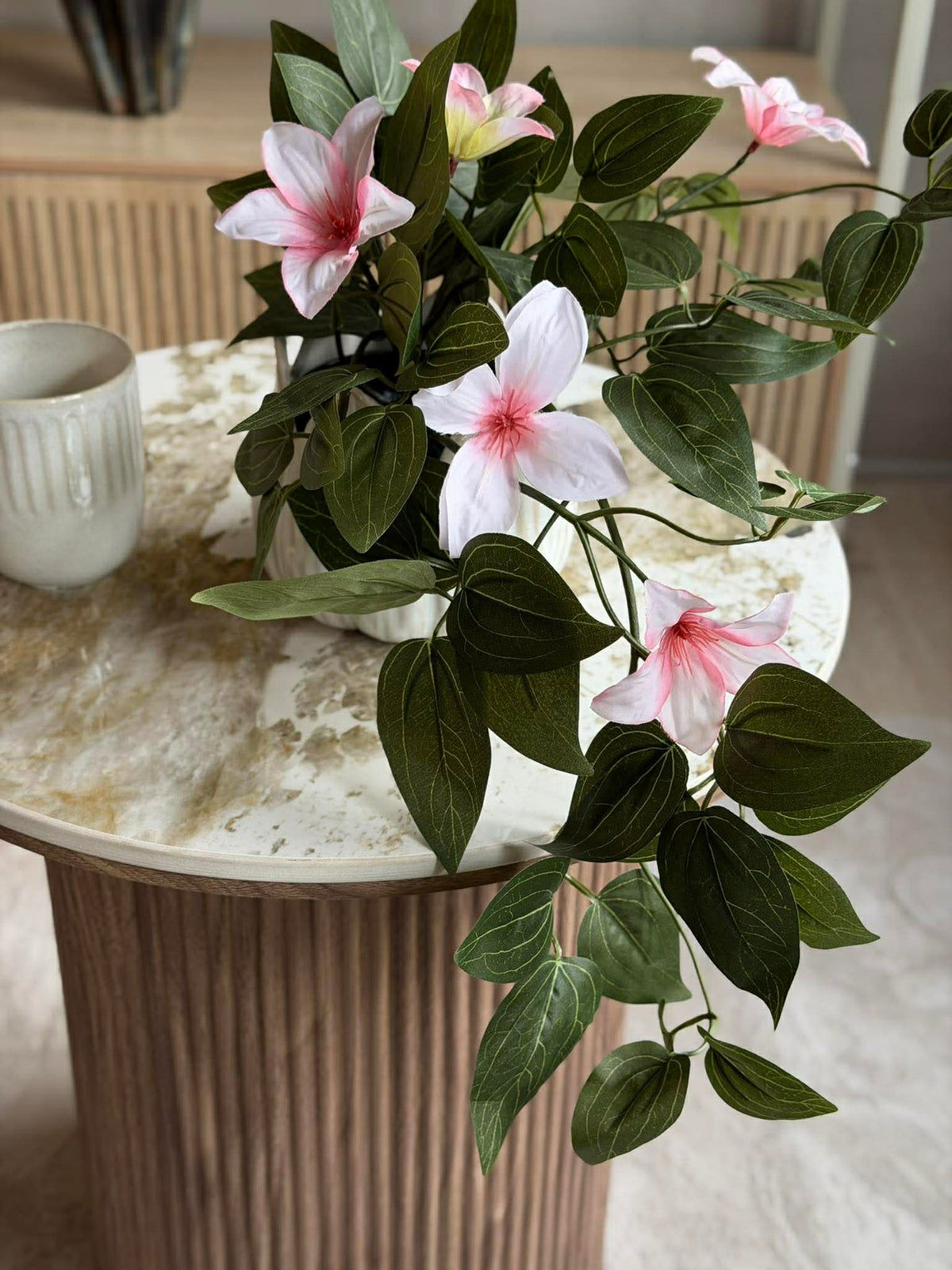 Plante suspendue - plusieurs couleurs