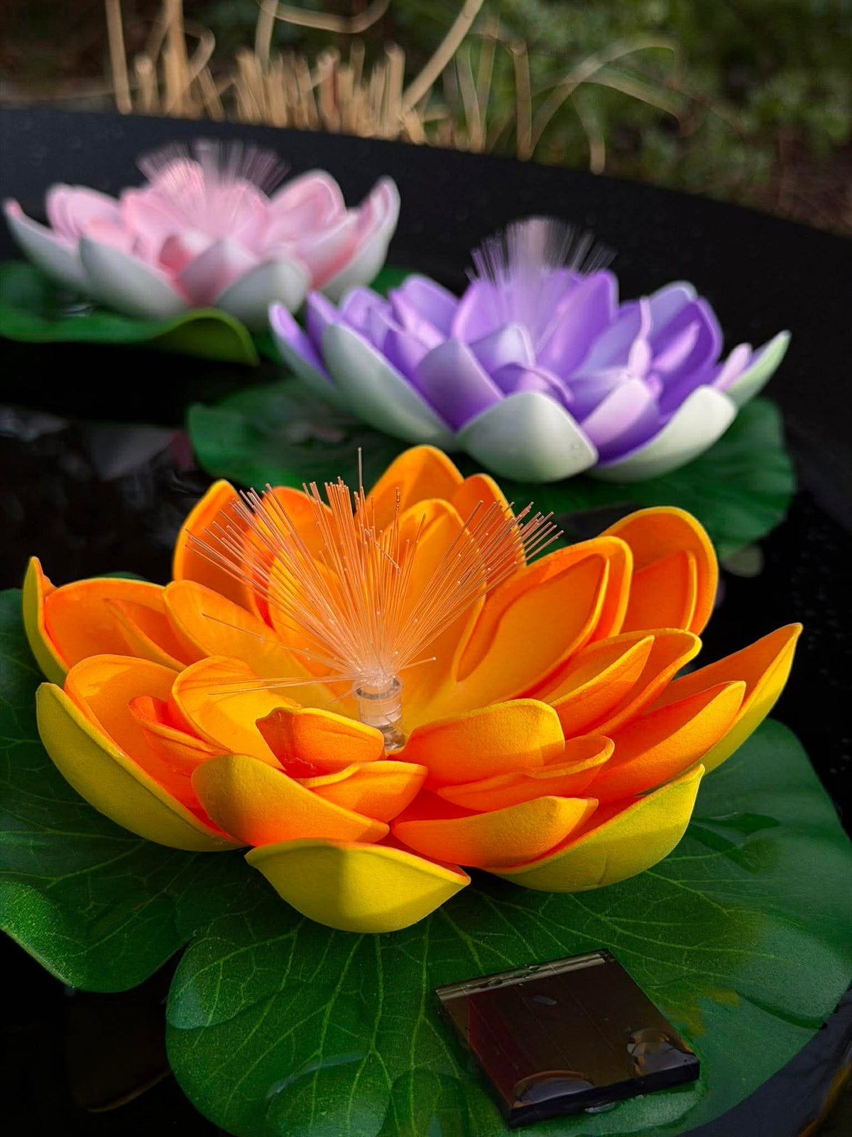 Lotus avec solaire - Plusieurs couleurs