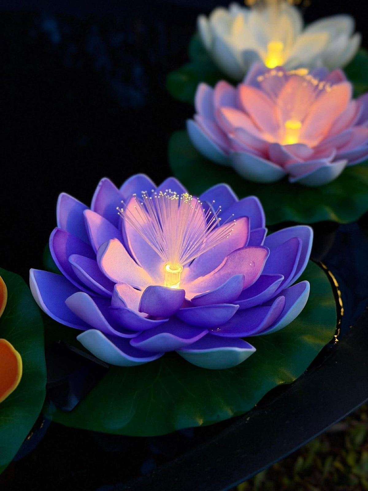 Lotus avec solaire - Plusieurs couleurs