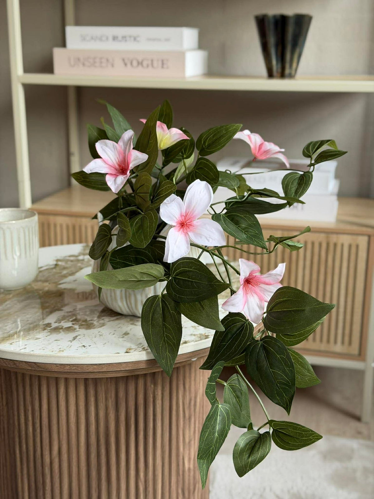 Plante suspendue - plusieurs couleurs