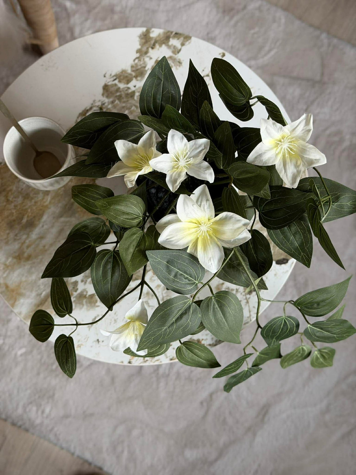 Plante suspendue - plusieurs couleurs