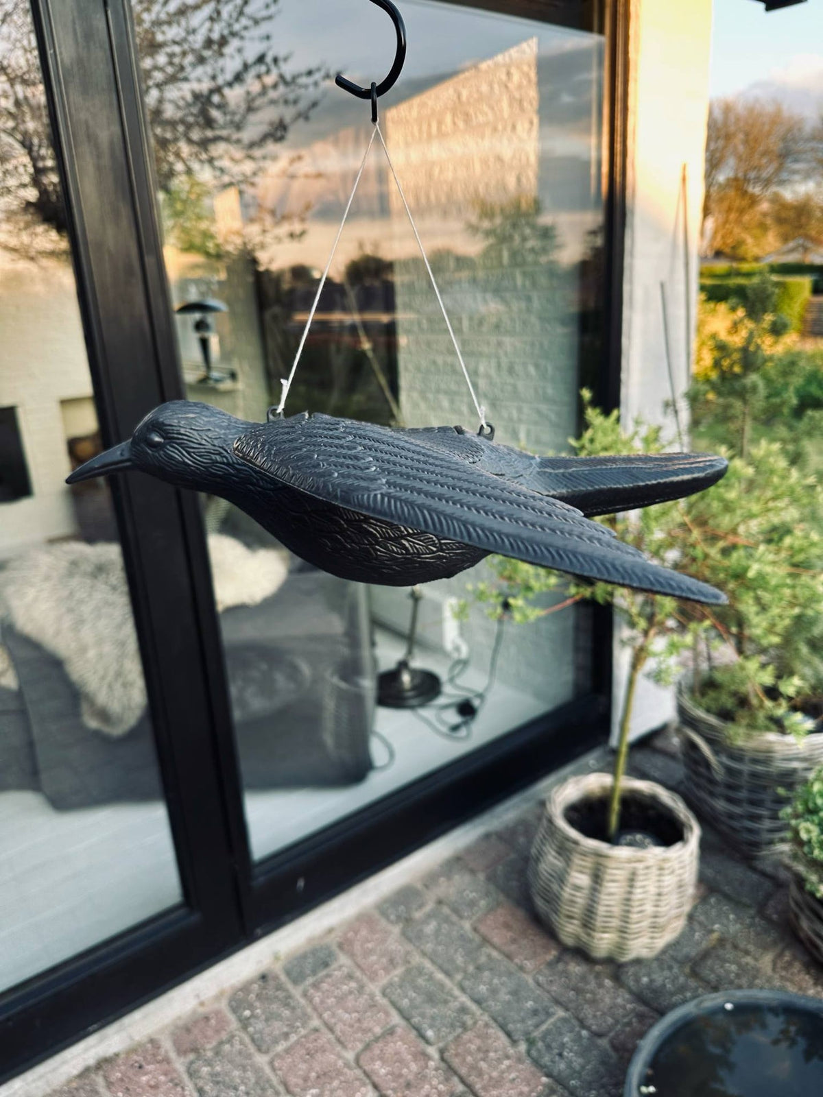 Oiseau - RAVEN BLACK