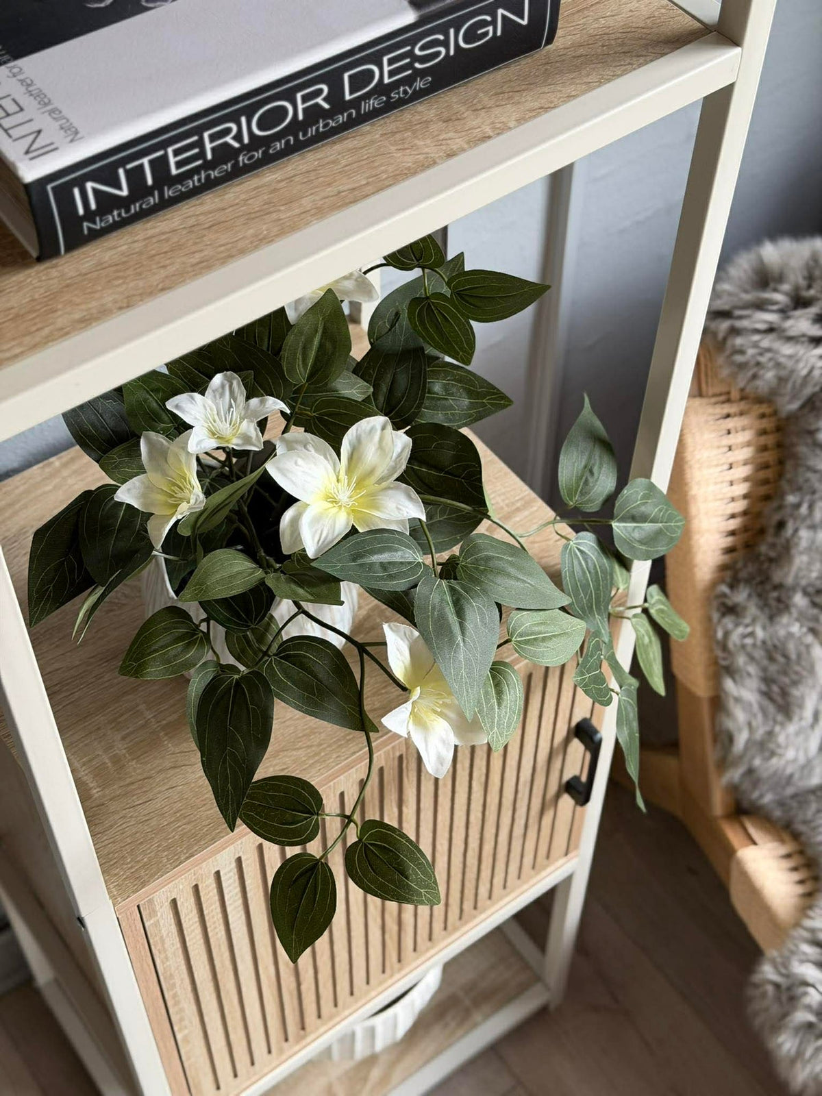Plante suspendue - plusieurs couleurs