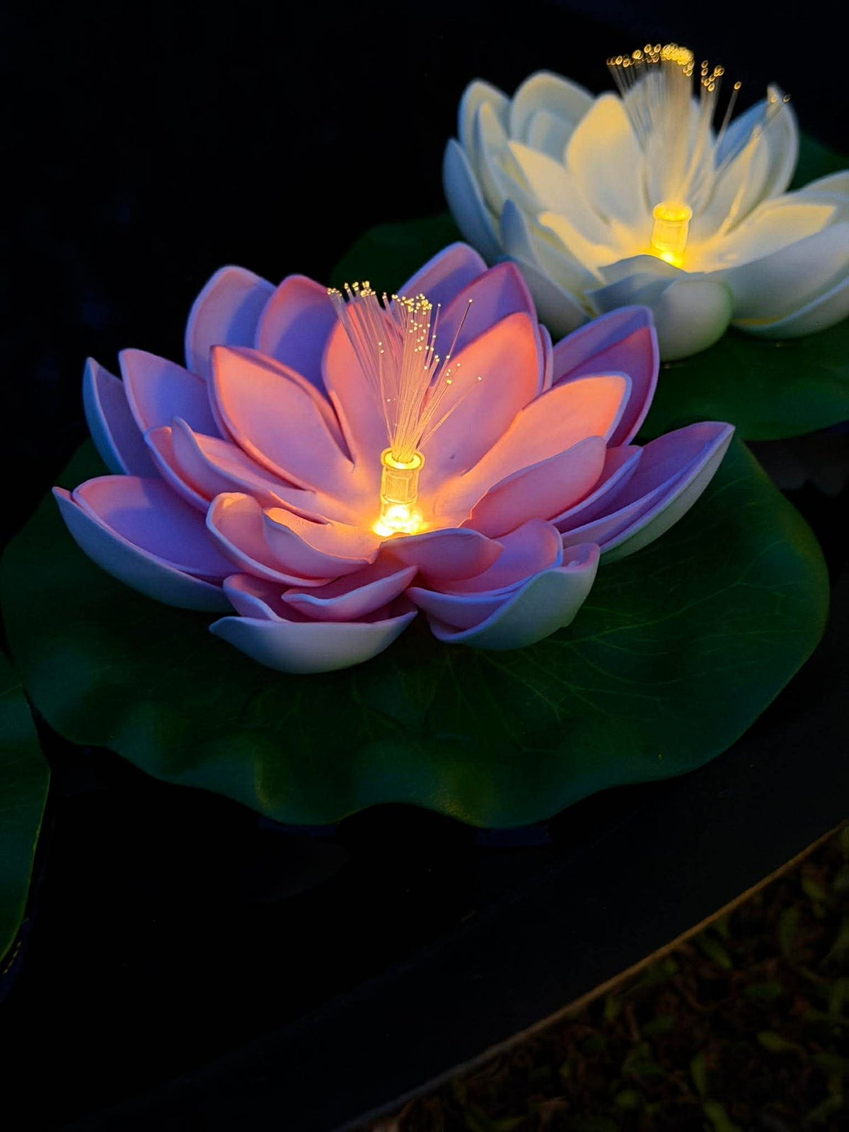 Lotus avec solaire - Plusieurs couleurs