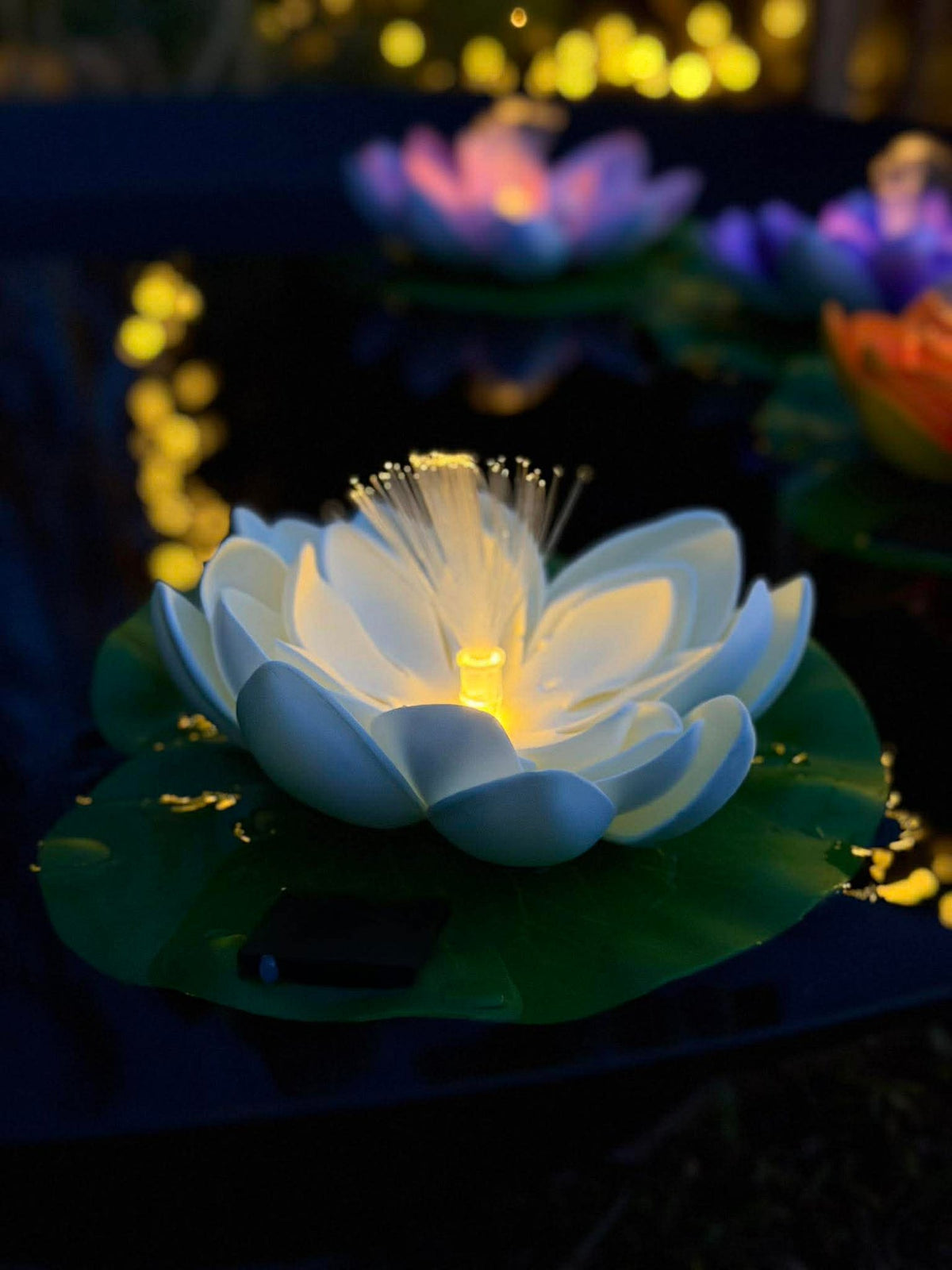 Lotus avec solaire - Plusieurs couleurs
