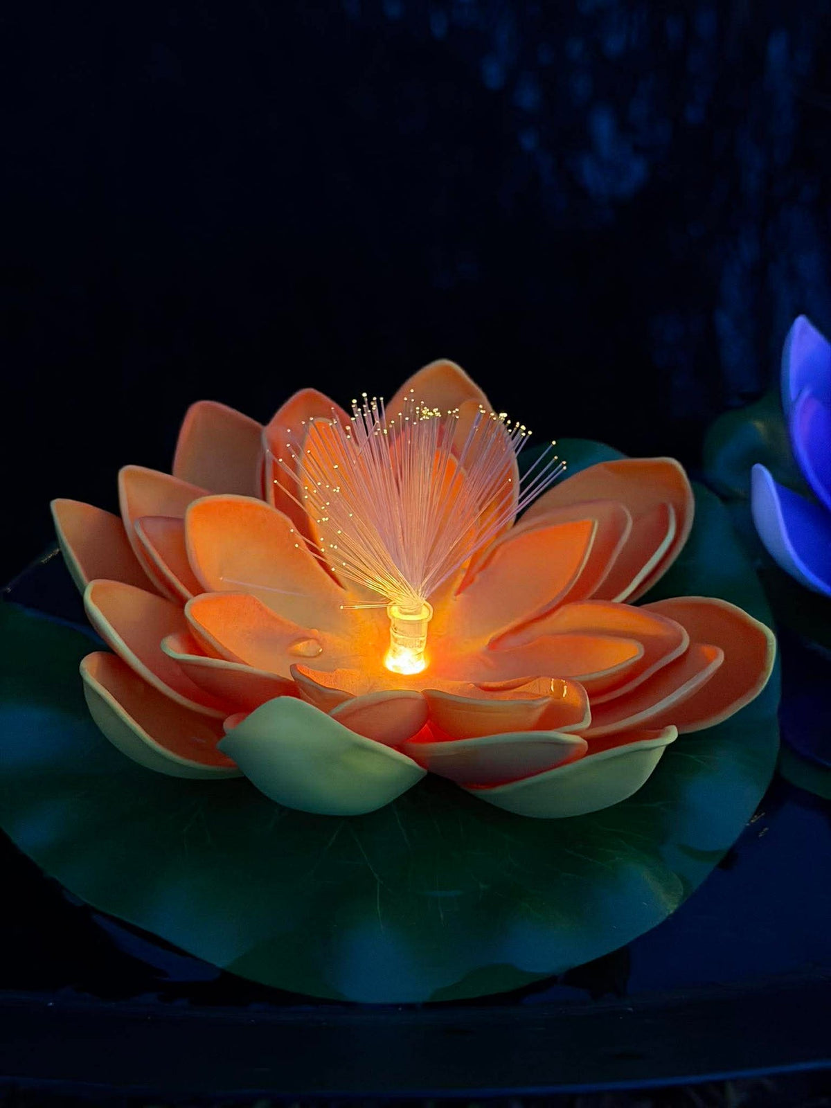 Lotus avec solaire - Plusieurs couleurs