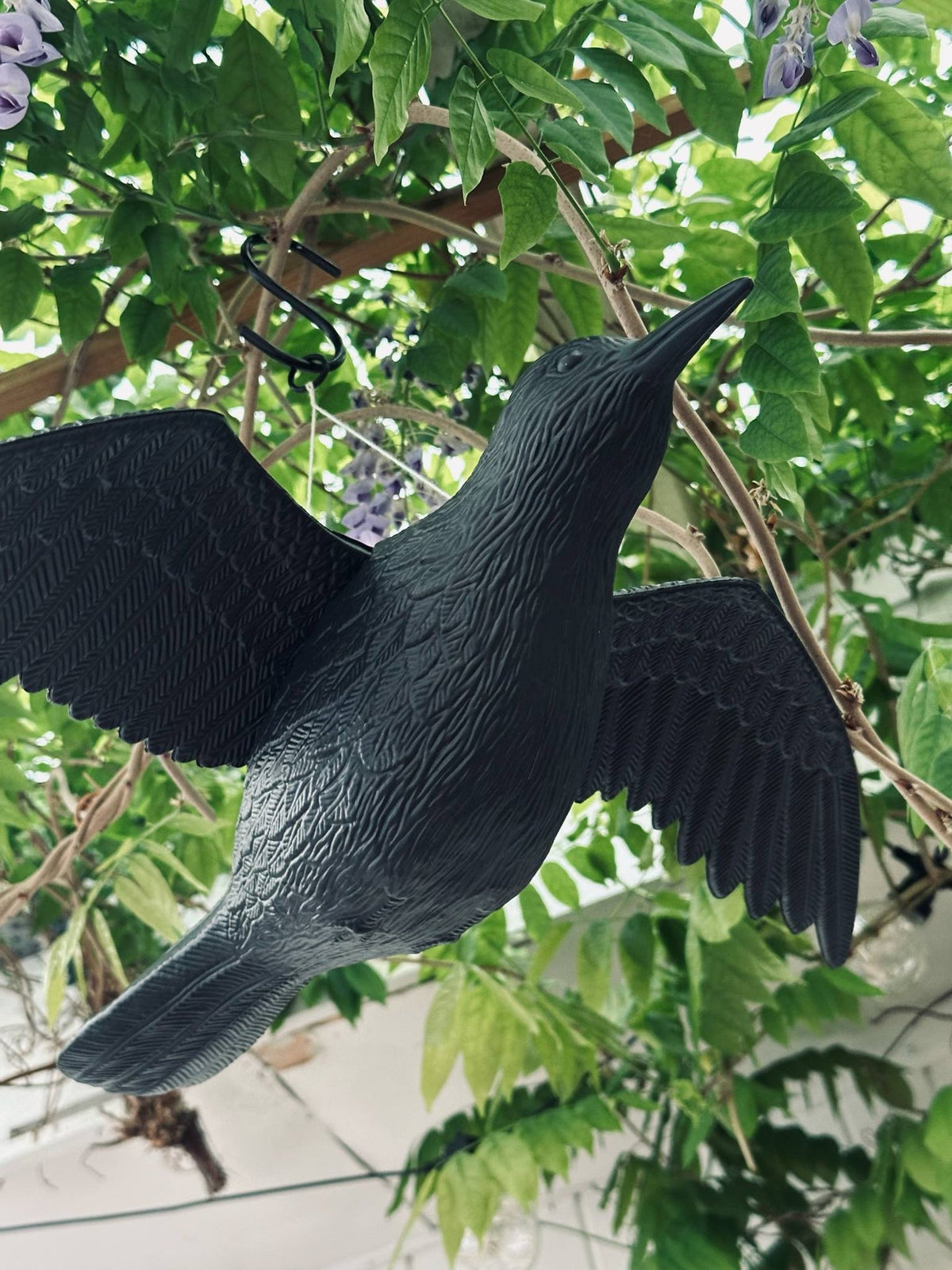 Oiseau - RAVEN BLACK