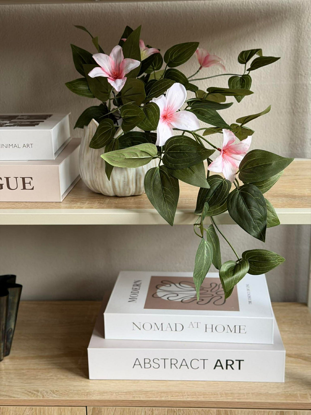 Plante suspendue - plusieurs couleurs